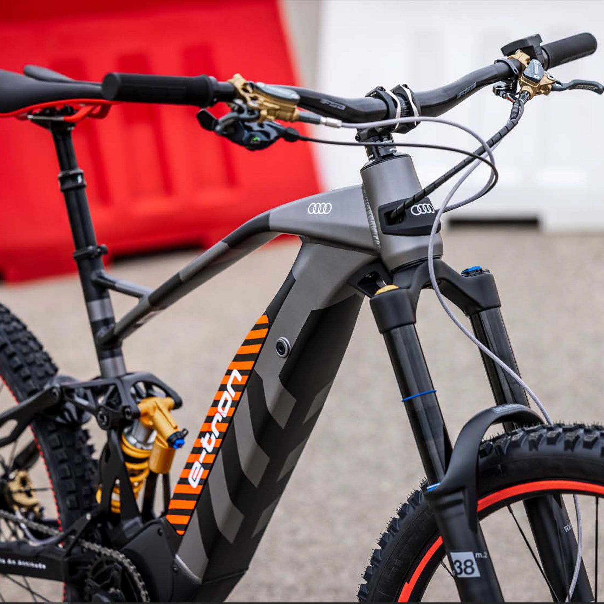 4J3050209A_audi_electric_mountain-bike_groesse_m_rosier-onlineshop4