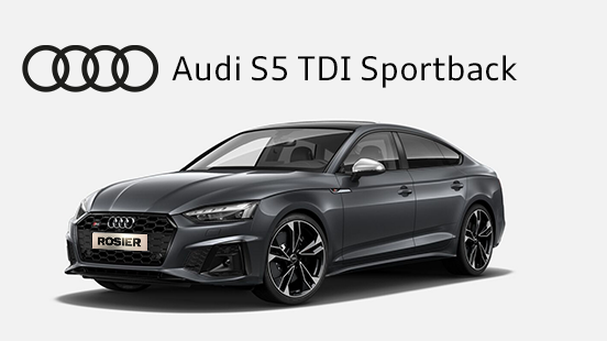 Audi s5 tdi sportback detailbild (1)