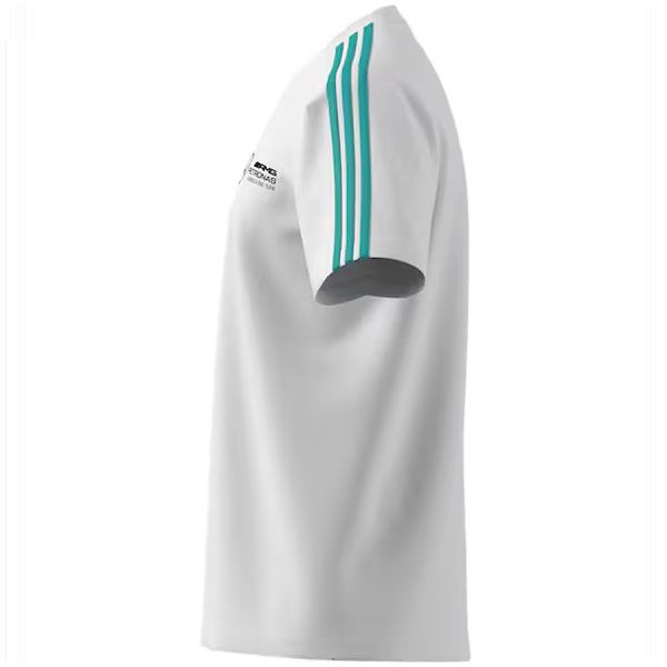 B67998289_mercedes-benz_amg_F1-t-shirt_rosier-onlineshop3