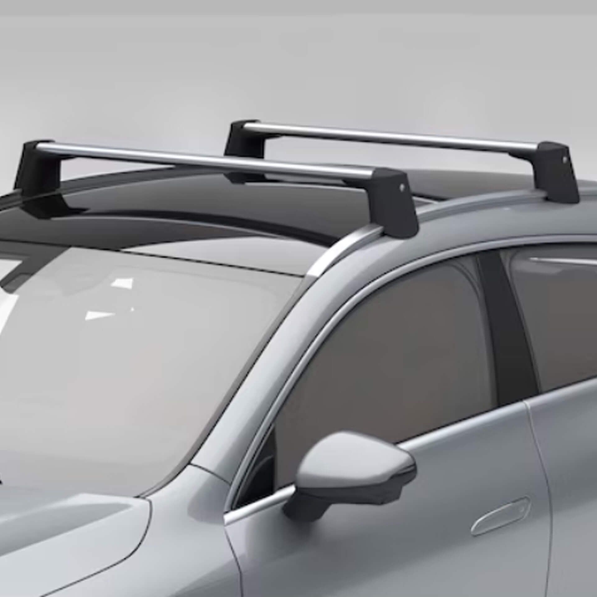 A1748900900_mercedes-benz_relingtraeger_rosier-onlineshop2