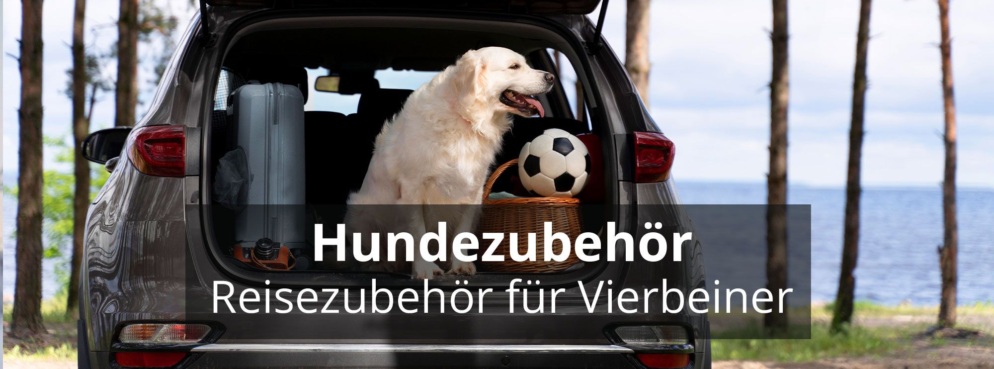 Hundezubehoer parfums header rosier online shop neu