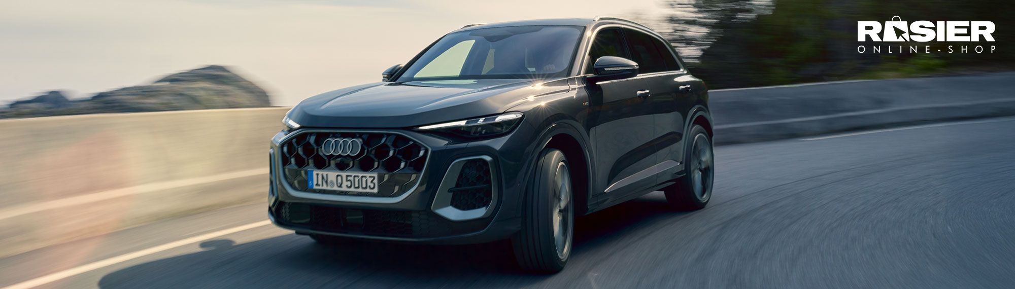 Q5 rosier onlineshop header (1)