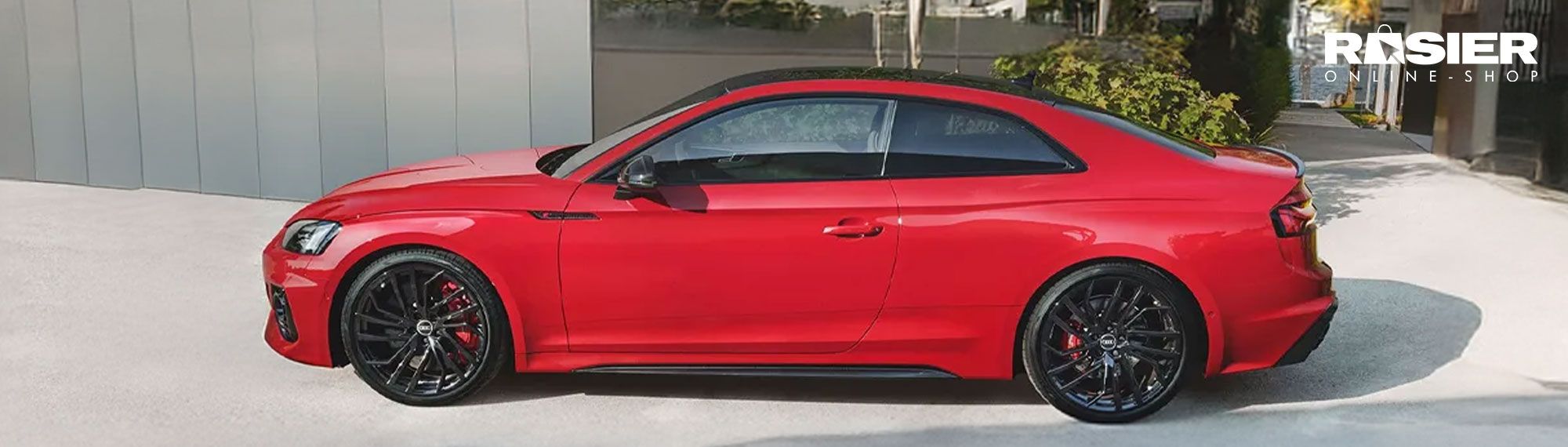 Rs5 rosier onlineshop header