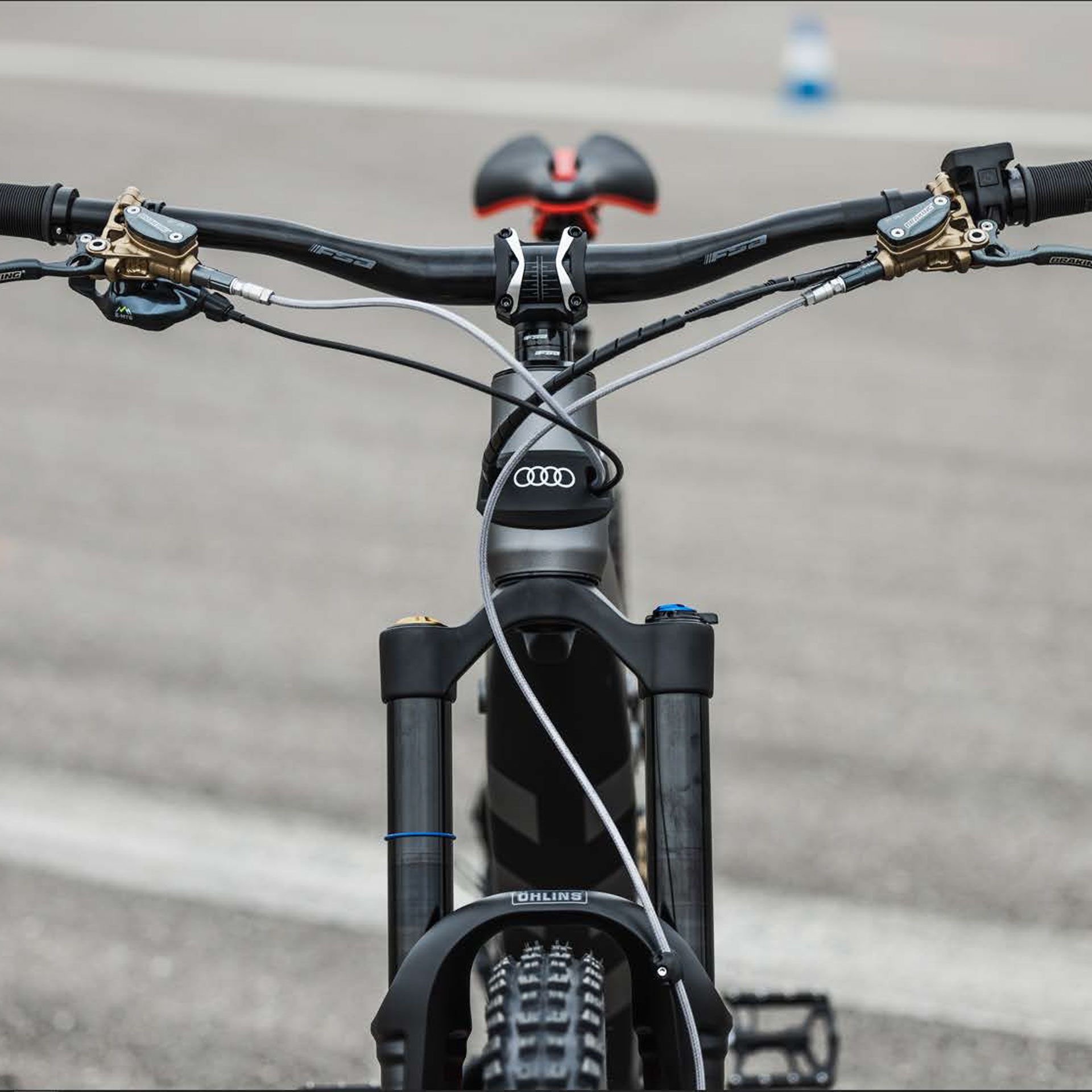 4j3050209a audi electric mountain bike groesse m rosier onlineshop6