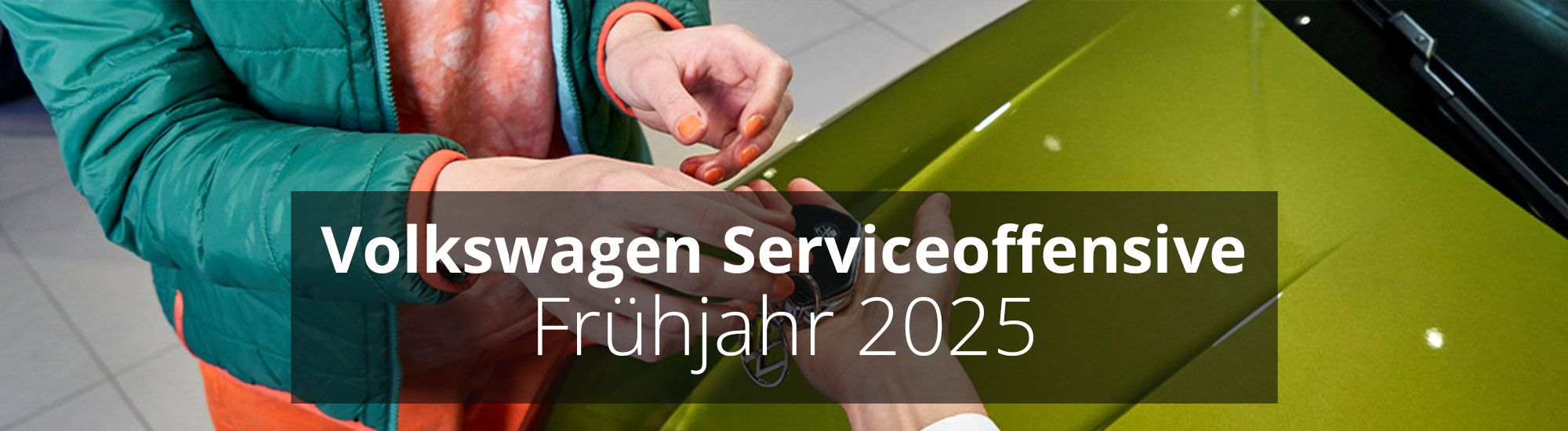 Volkswagen serviceoffensive frhjahr 2025 rosier online shop