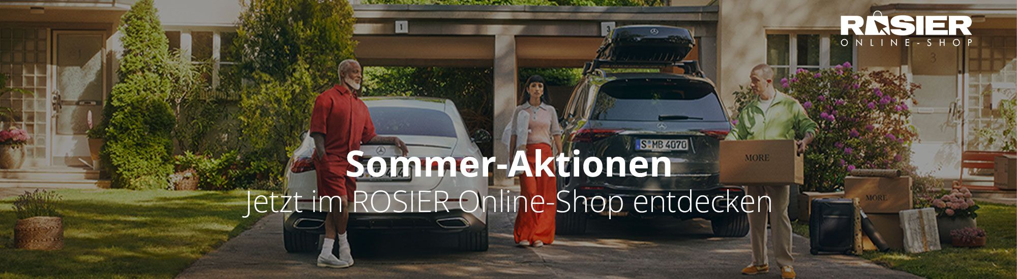 Sommer aktionen rosier online shop