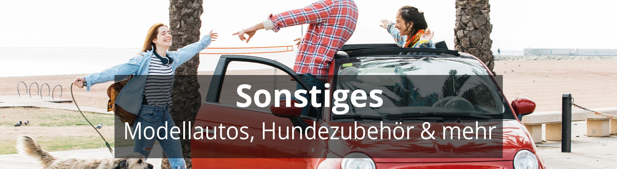 Sonstiges header rosier online shop neu (3)