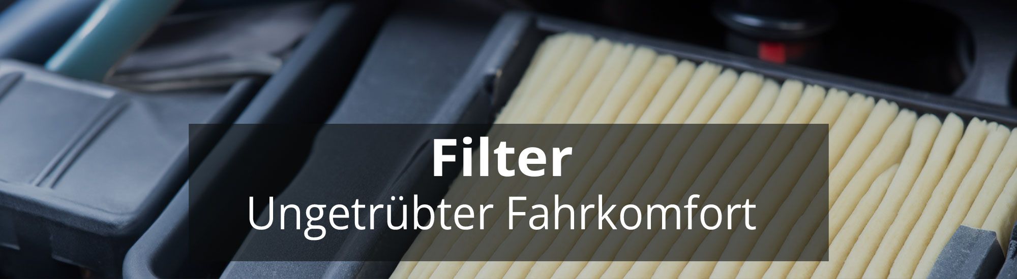 Filter header rosier online shop neu (1)