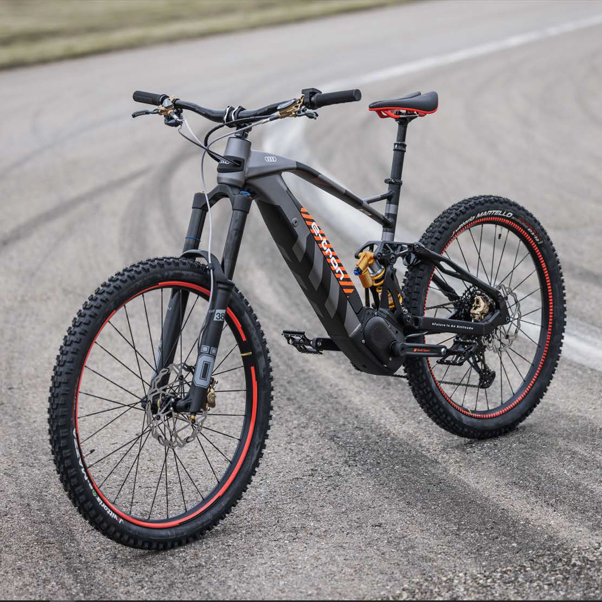 4j3050209b audi electric mountain bike groesse l rosier onlineshop2