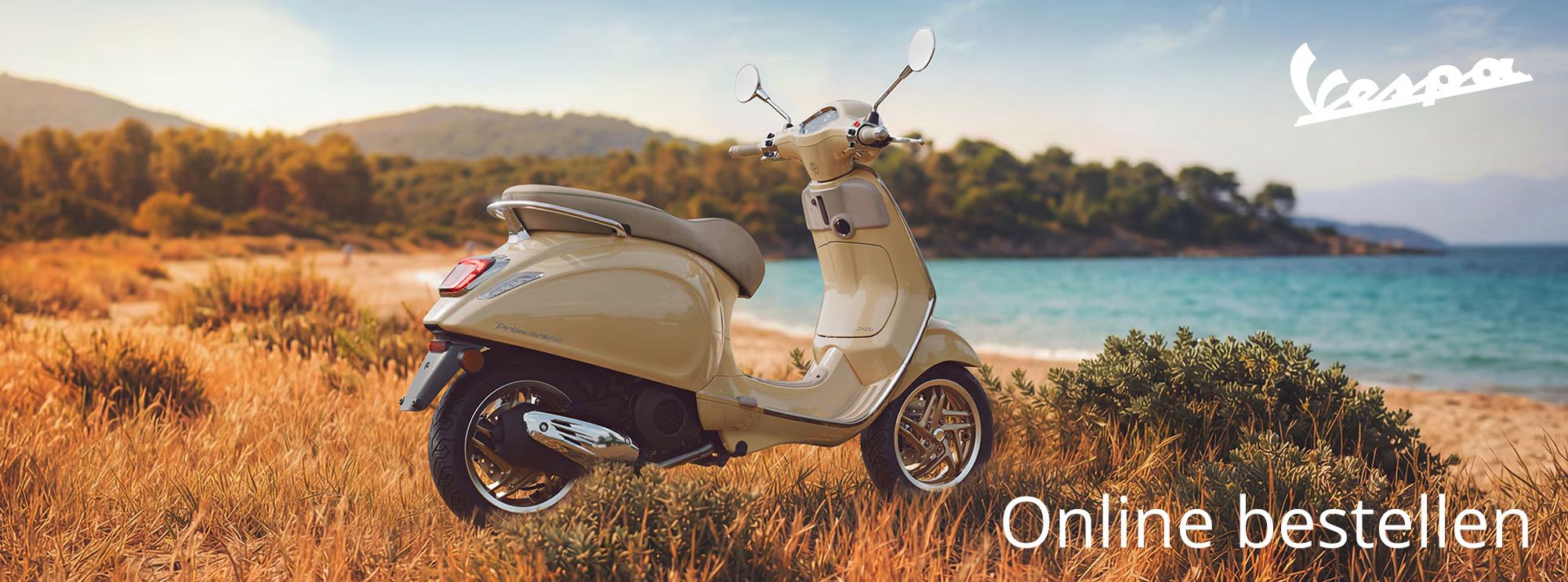 Vespa header rosier onlineshop