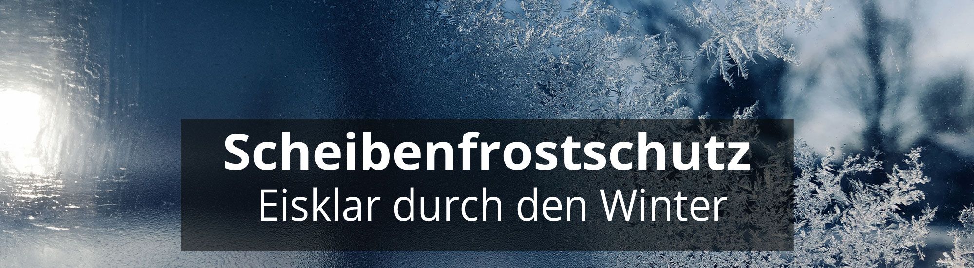 Scheibenfrostschutz header rosier online shop neu (3)