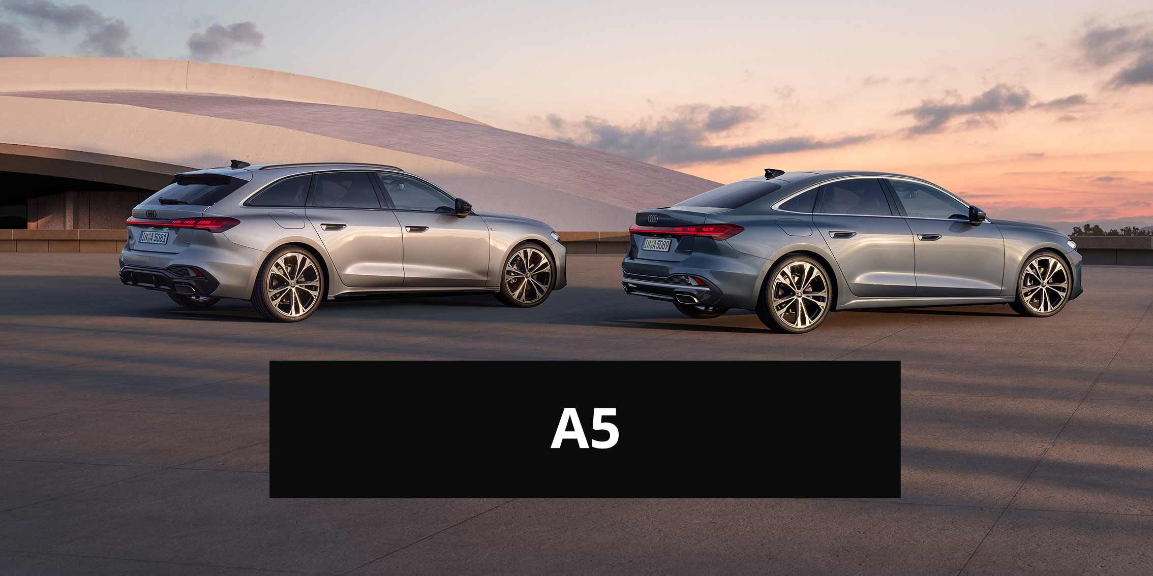 A5 rosier onlineshop teaser 2026