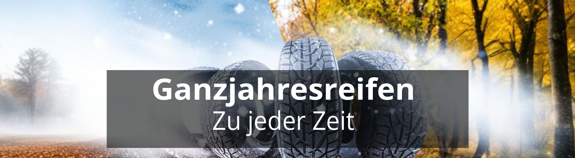 Ganzjahresreifen header rosier online shop neu (2)