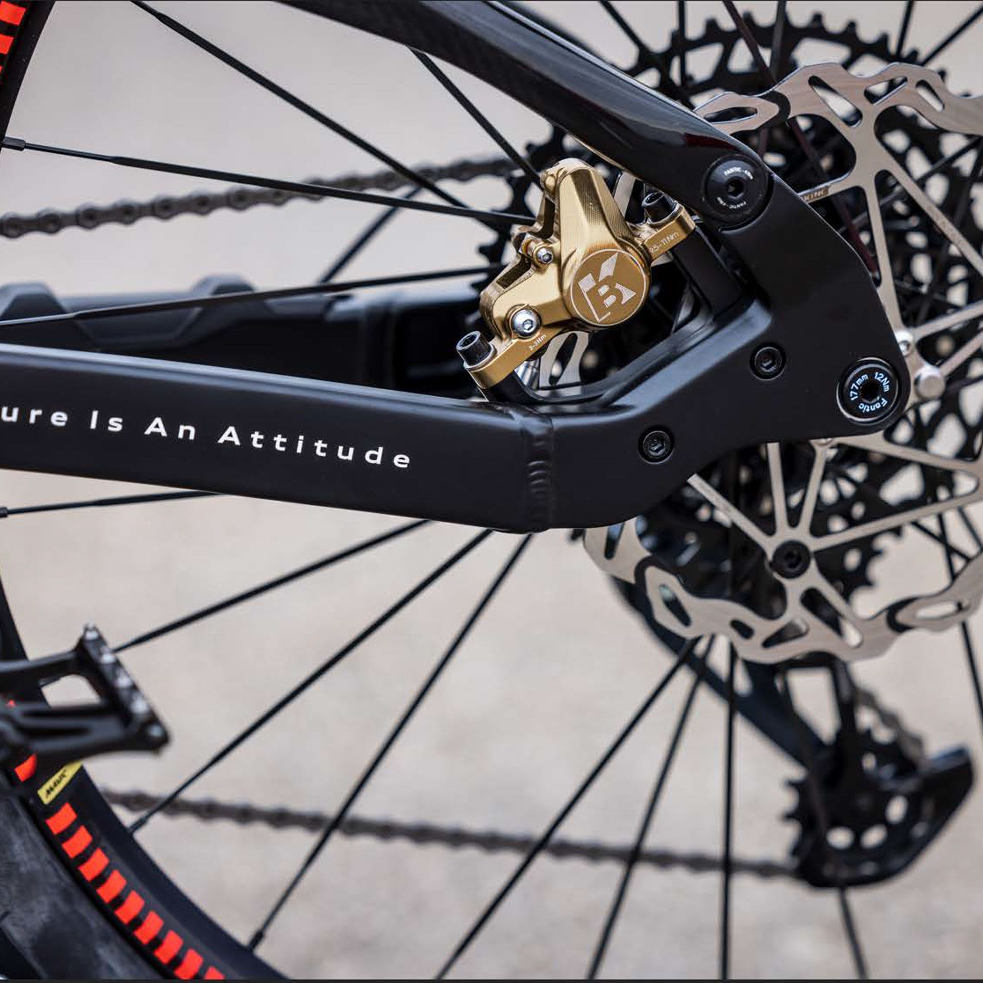 4j3050209b audi electric mountain bike groesse l rosier onlineshop8