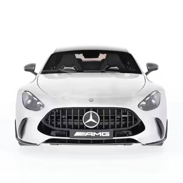 B66960585 mercedes benz modellauto amg gt rosier onlineshop2