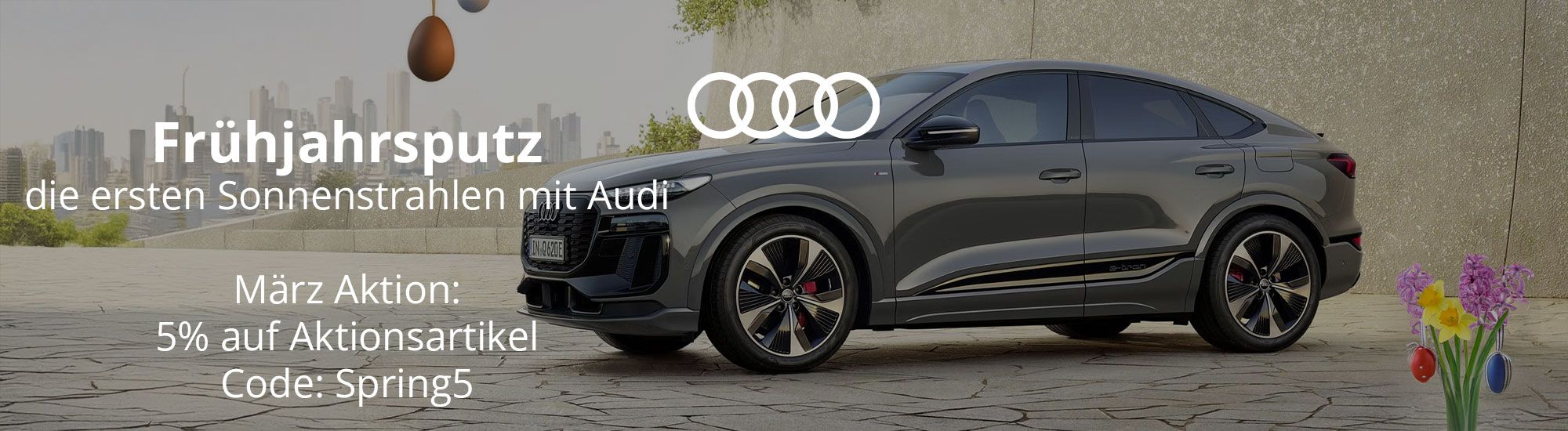 audi_Frhjahrsputz_ROSIER_Online-Shop_Header_Newsletter