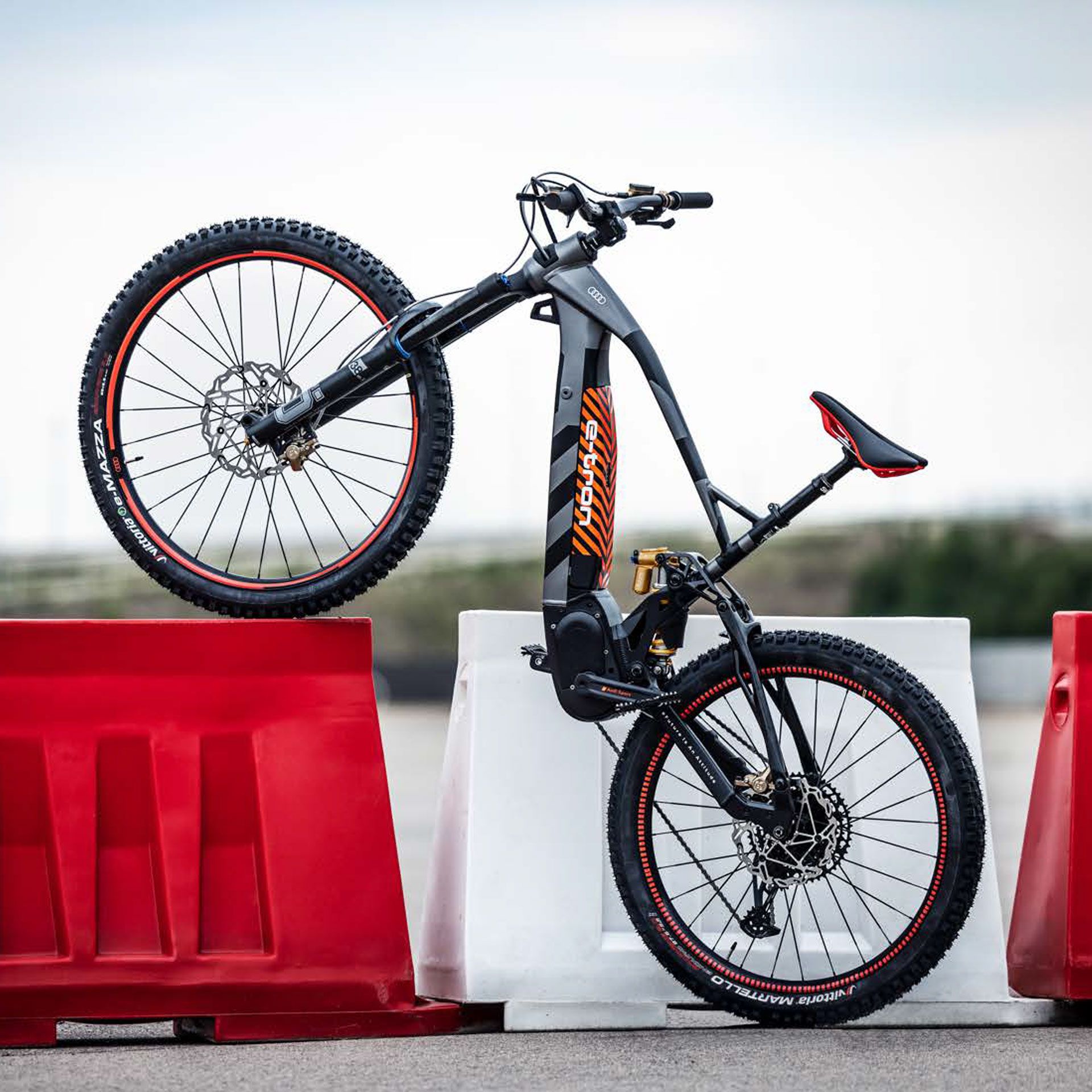 4j3050209b audi electric mountain bike groesse l rosier onlineshop5