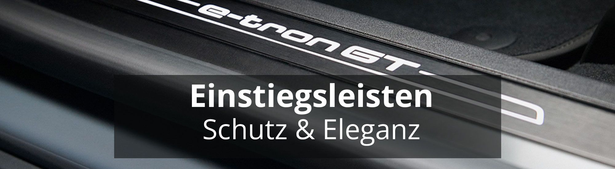 Einstiegsleisten header rosier online shop neu (1)
